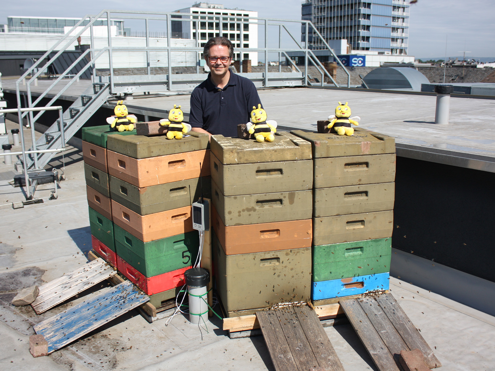 Unser Direktor Stephan auf dem Dach des sander Hotels vor den Bienenstockboxen mit Plüschbienen
